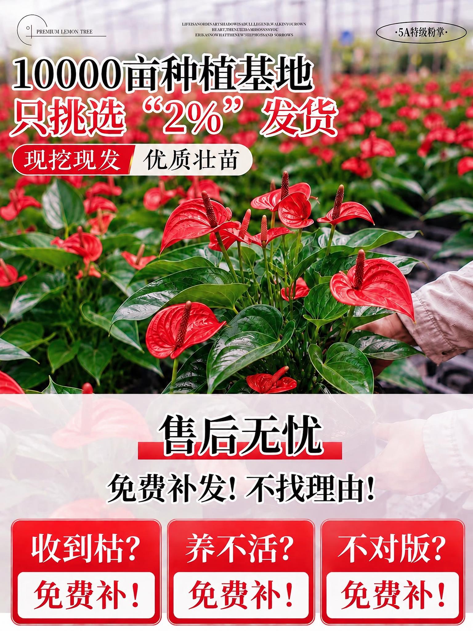 将图片中所有紫色元素（包括紫色花朵、紫色文字、紫色背景块、紫色… - 图片创意预览