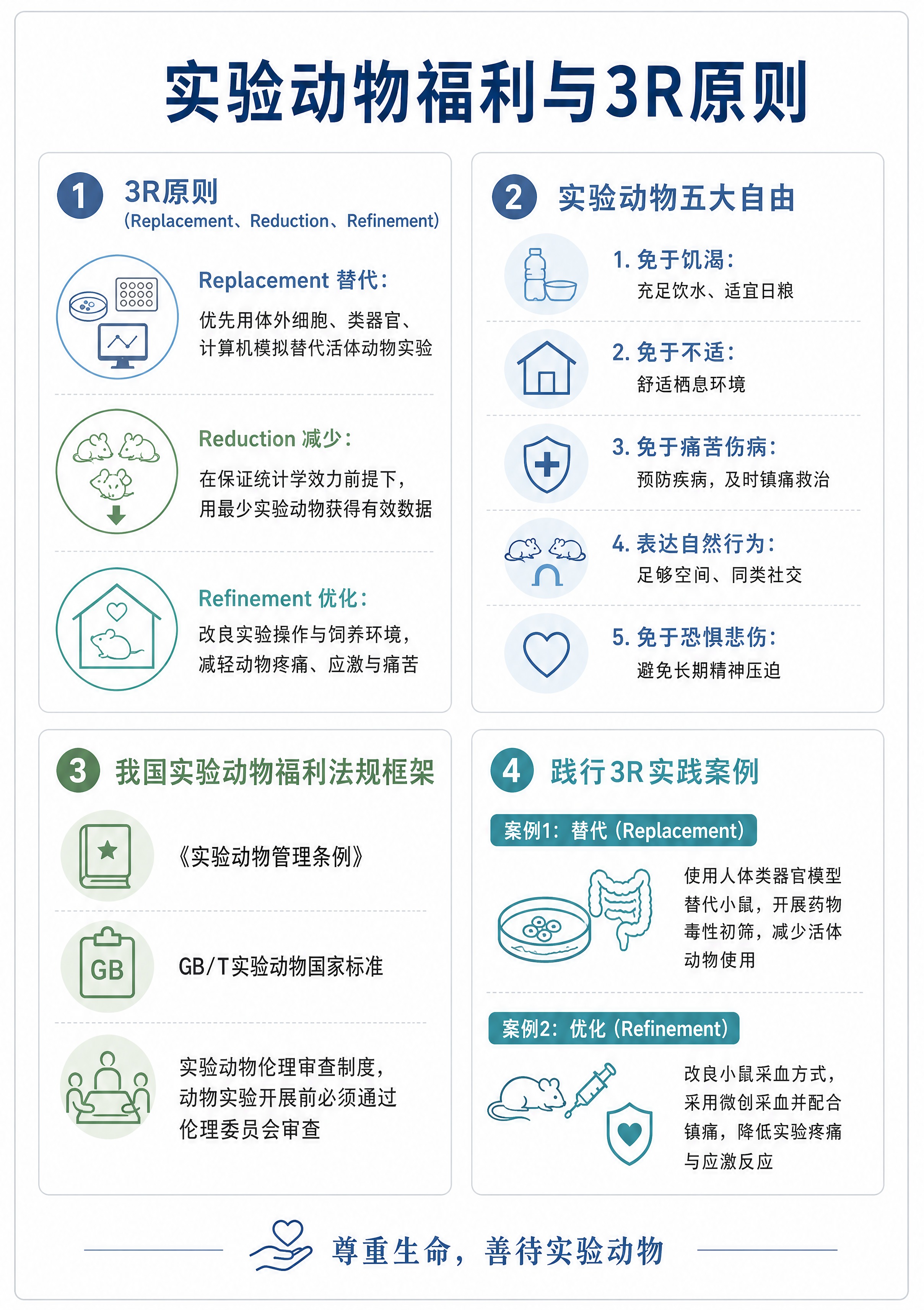 A3竖版学术科普信息图infographic，干净白底，柔和蓝… - 图片创意预览