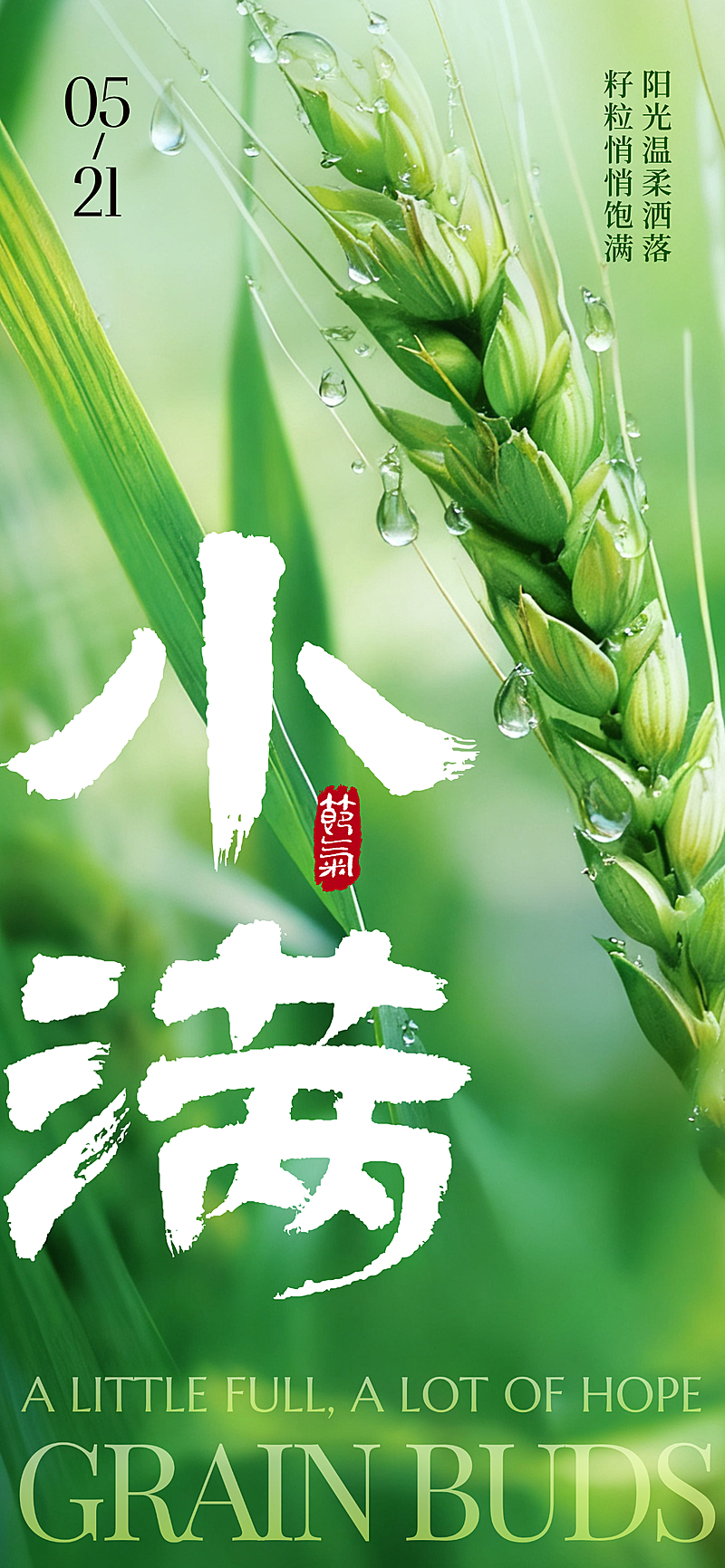 小满节气祝福实景清新全屏竖版海报