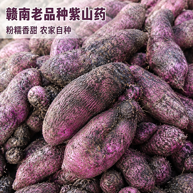 [主图1] 紫山药堆头全景展示
[氛围风格] 批量现货新鲜氛围
[画质] 商业摄影质感，光线柔和通透，产品清晰真实，画面干净高级
[元素] 多根带泥紫山药堆积，展示新鲜采挖后的丰收状态，保持紫山药外形颜色纹理与输入图一致，无变形色差。主体占比约70%，画面满屏无边框
[光影] 自然均匀漫射光，突出紫山药外皮紫褐色纹理和泥土质感
[配色] 主色深紫褐，自然浓郁
[文字版式] 左上角大字"赣南老品种紫山药"，深紫粗体，下方小字"粉糯香甜 农家自种"，不遮挡主体
[输出要求] 1:1比例，文字清晰锐利，2K超高清
[负向提示词] 变形，文字错乱，水印，平台Logo