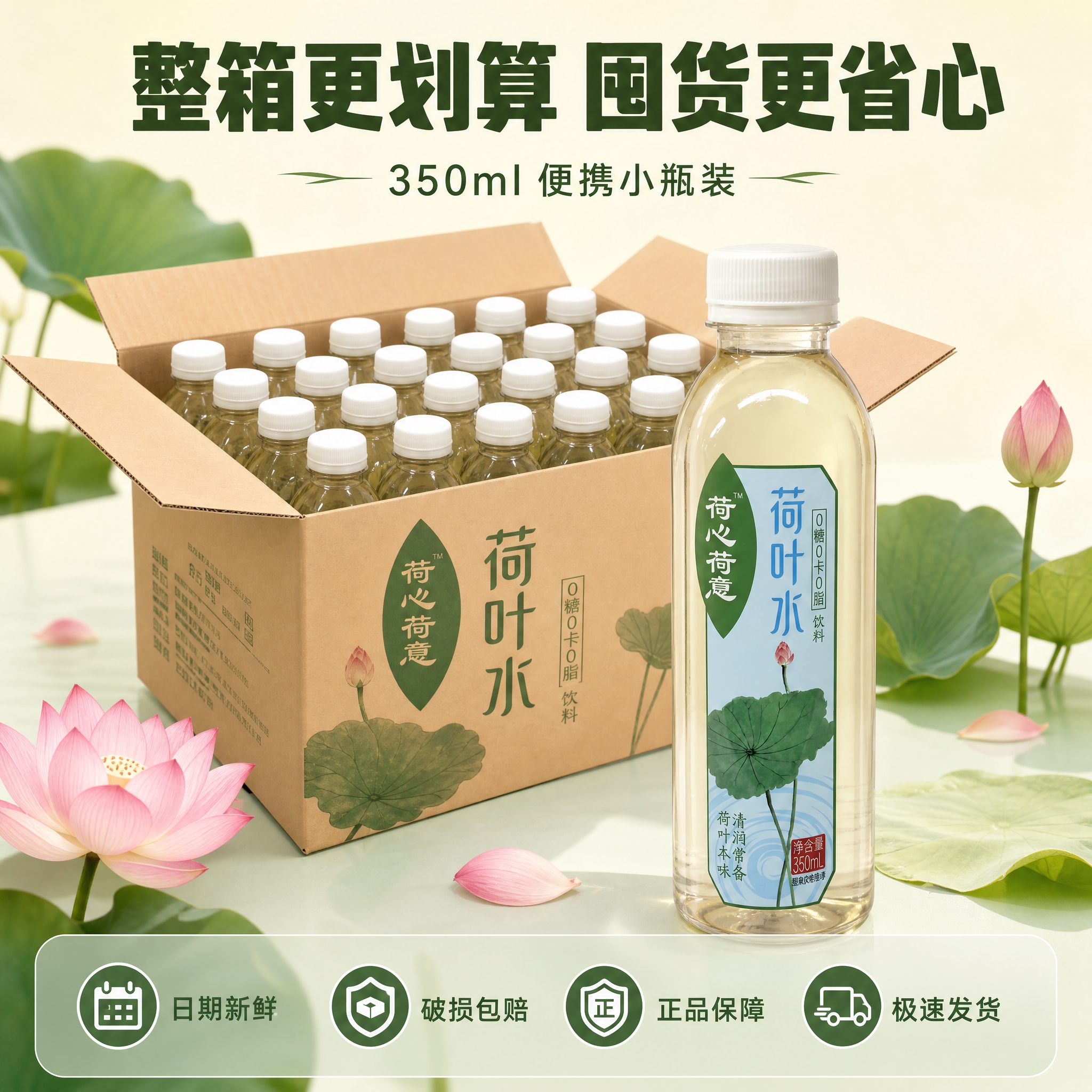 [主图-6] 规格与服务 整箱装展示与服务承诺 [统一基调]… - 图片创意预览