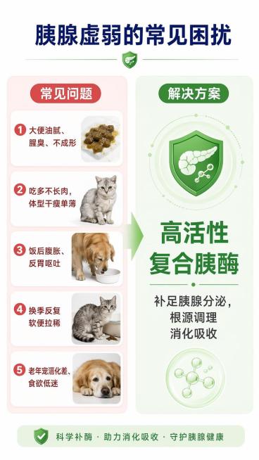 [第2屏] 痛点对比板块-胰腺虚弱常见困扰对比。
[氛围/风格] 清晰专业对比风，简洁易懂，干净舒服。
[元素布局] 左右分栏布局，左栏展示问题痛点，右栏给出解决方案，顶部放置标题区，标题居中，左右信预览效果
