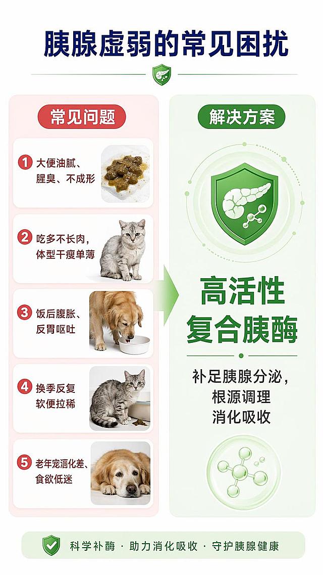 [第2屏] 痛点对比板块-胰腺虚弱常见困扰对比。
[氛围/风格] 清晰专业对比风，简洁易懂，干净舒服。
[元素布局] 左右分栏布局，左栏展示问题痛点，右栏给出解决方案，顶部放置标题区，标题居中，左右信息分区清晰，不拥挤，文字间距适中。
[光影质感] 均匀柔光，文字清晰，分区明确，无强烈阴影。
[配色色系] 全局底色 #FFFFFF；主色浅绿+深蓝，左栏痛点用浅红标注，右栏方案用浅绿标注。
[视角构图] 正面对比构图，分区阅读，从上到下，左痛点右方案。
[文字版式] 顶部居中标题「胰腺虚弱的常见困扰」，加粗字号；左栏标题「常见问题」，列出痛点：①大便油腻、腥臭、不成形 ②吃多不长肉，体型干瘦单薄 ③饭后腹胀、反胃呕吐 ④换季反复软便拉稀 ⑤老年宠消化差、食欲低迷；右栏标题「解决方案」，文案：高活性复合胰酶，补足胰腺分泌，根源调理消化吸收；文字分区清晰，不重叠，主标题突出。
[比例分辨率] 9:16 竖版比例，4K 分辨率，文字清晰可辨，高清画质。
[负向提示词] 文字错乱，分区混乱，文字过小，水印，构图杂乱