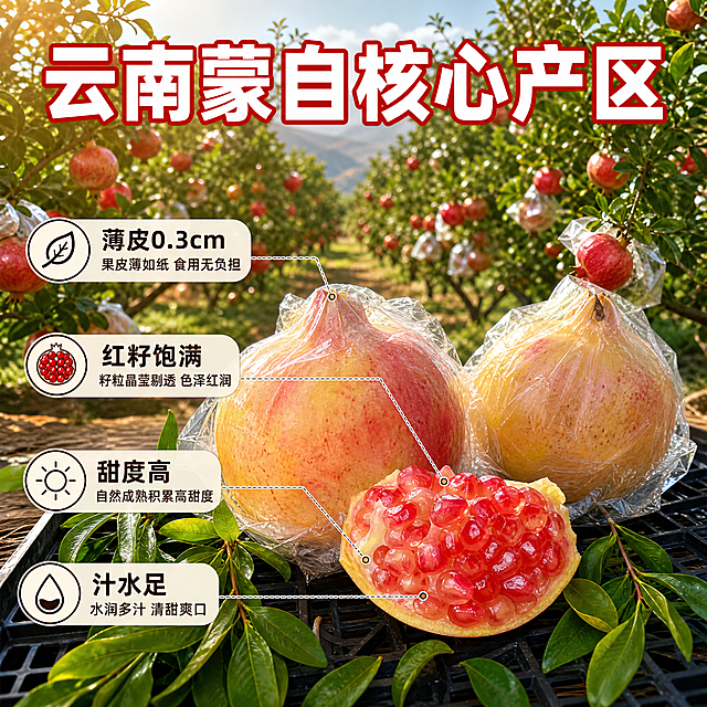 [主图-2] 核心亮点与产地溯源 展示云南蒙自石榴核心产区优势与品质特点。
[统一基调] 抖音食品生鲜风格 自然暖阳逆光 主色石榴红+叶绿+暖黄 标题字粗黑体白色带红描边 辅助字深褐黑体 整体高清实拍感 强视觉冲击。
[画面] 上半部分背景为开阔的石榴果园全景 果树成排 果实挂满枝头 阳光明媚 下半部分前景摆放2颗完整带套袋石榴+1块切开的石榴特写 用细虚线从石榴各部位引出标注 分别指向 薄皮0.3cm 红籽饱满 甜度高 汁水足 四个卖点 产品占画面约55% 视角平视偏俯视。
[光影质感] 自然日光 上午柔和阳光 果园场景光影自然 石榴表面有均匀光照 籽粒通透有光泽 阴影柔和不生硬。
[配色] 主色绿色果园+红色石榴 文字白色主标题+深褐说明字 标注线浅灰色。
[文字版式] 顶部大标题 云南蒙自核心产区 下方四个引线标注 每个标注配小图标 文字清晰 不遮挡产品主要展示面 字体统一黑体。
[输出要求] 1:1比例 2048px 文字清晰无错字 产品清晰不变形 无水印无平台Logo 禁止标注线乱连 禁止信息重复。