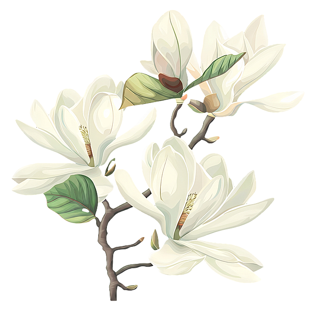 去除这张玉兰花插画上的所有水印，保持花朵、叶片和枝干的图案完整，风格不变，保持原始尺寸比例