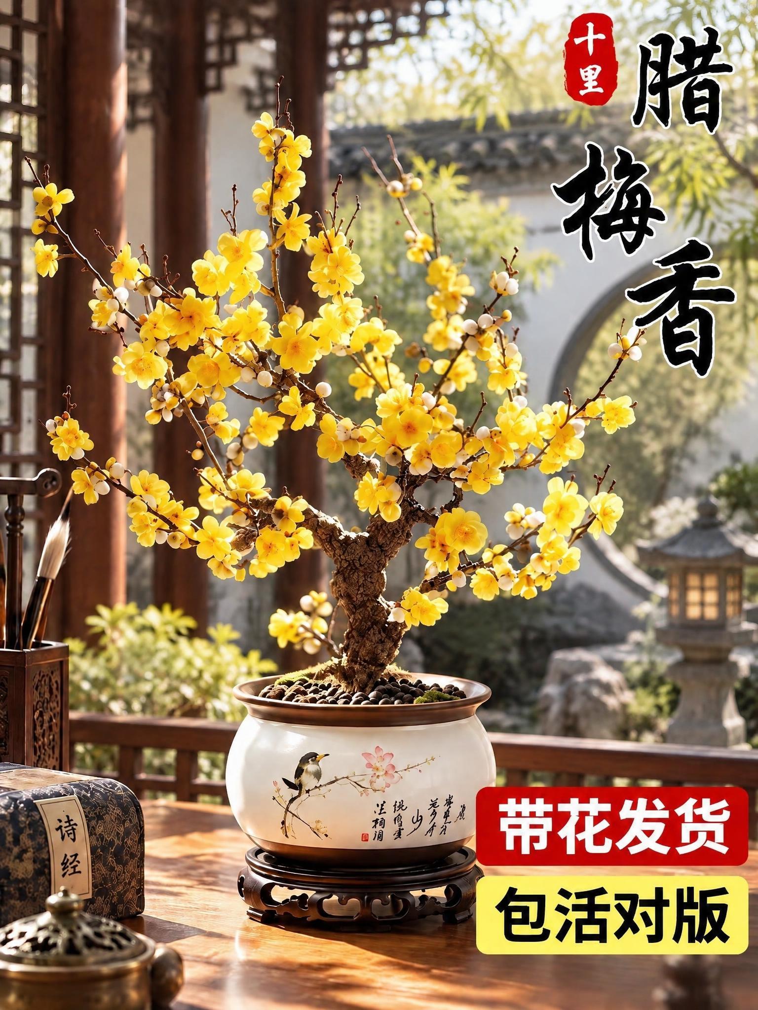 将背景替换为新中式庭院，保留腊梅盆栽主体、花盆、桌面摆件以及右… - 图片创意预览