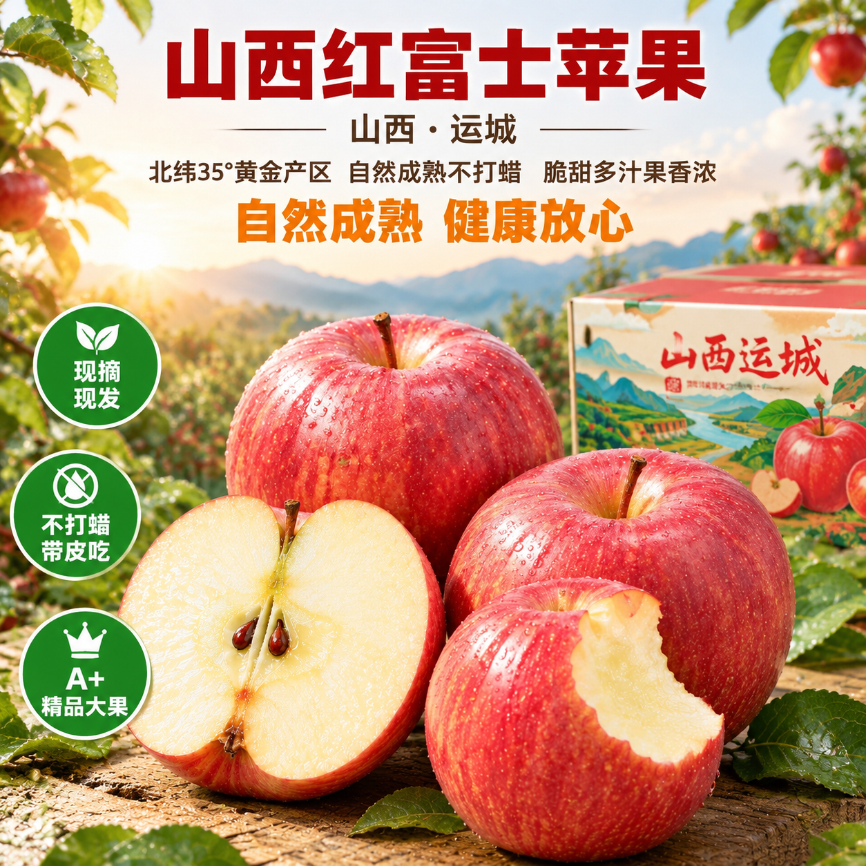 [主图-5] 晨曦微露果园场景，突出山西红富士苹果自然成熟健康… - 图片创意预览
