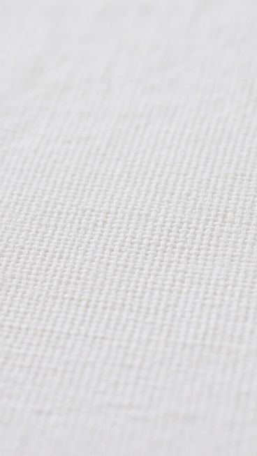 纯白色布纹背景，细腻的亚麻织物纹理，经纬线交织形成均匀的网格状图案，布面平整无褶皱，具有轻微的肌理感和柔和的哑光质感，整体呈现出简约、干净、素雅的视觉效果，光线均匀柔和，无明显阴影，纹理清晰自然，充满质朴的材质美感。预览效果