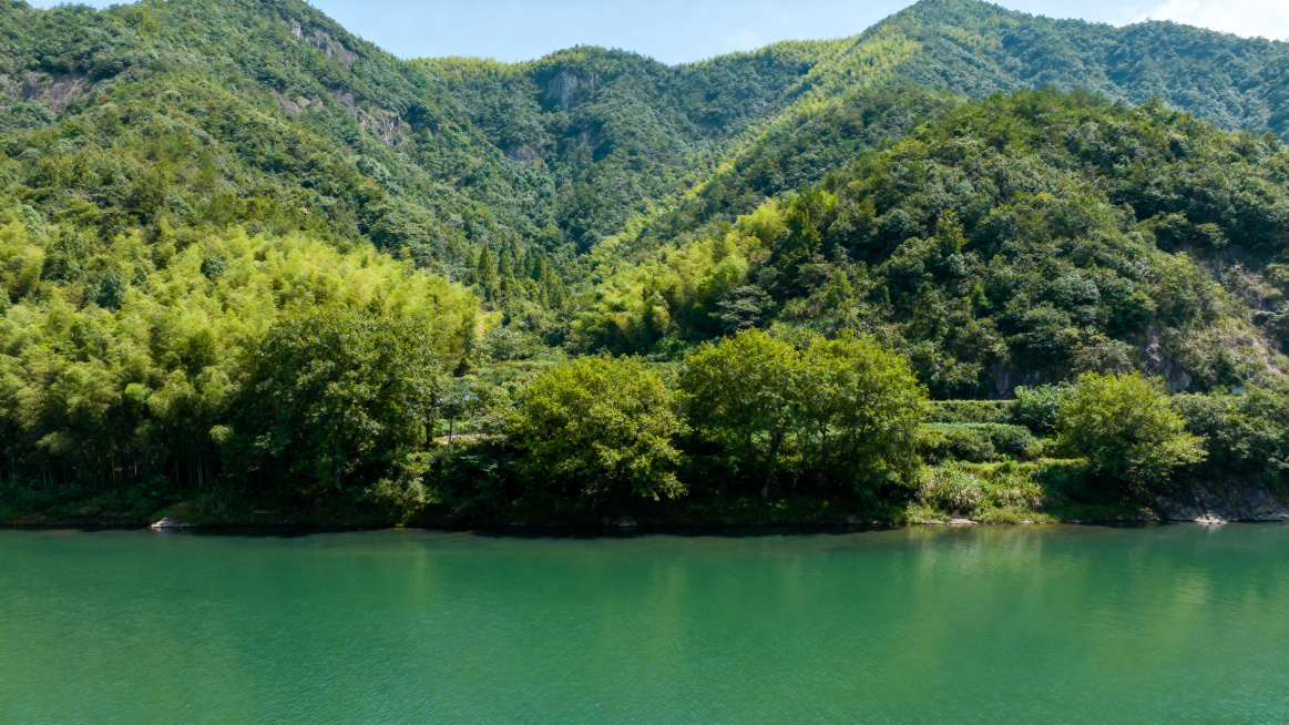 真实摄影风格的桐庐富春山自然风光，翠绿山林清澈江水，层次丰富清晰真实，风景大片质感，16:9横版构图预览效果