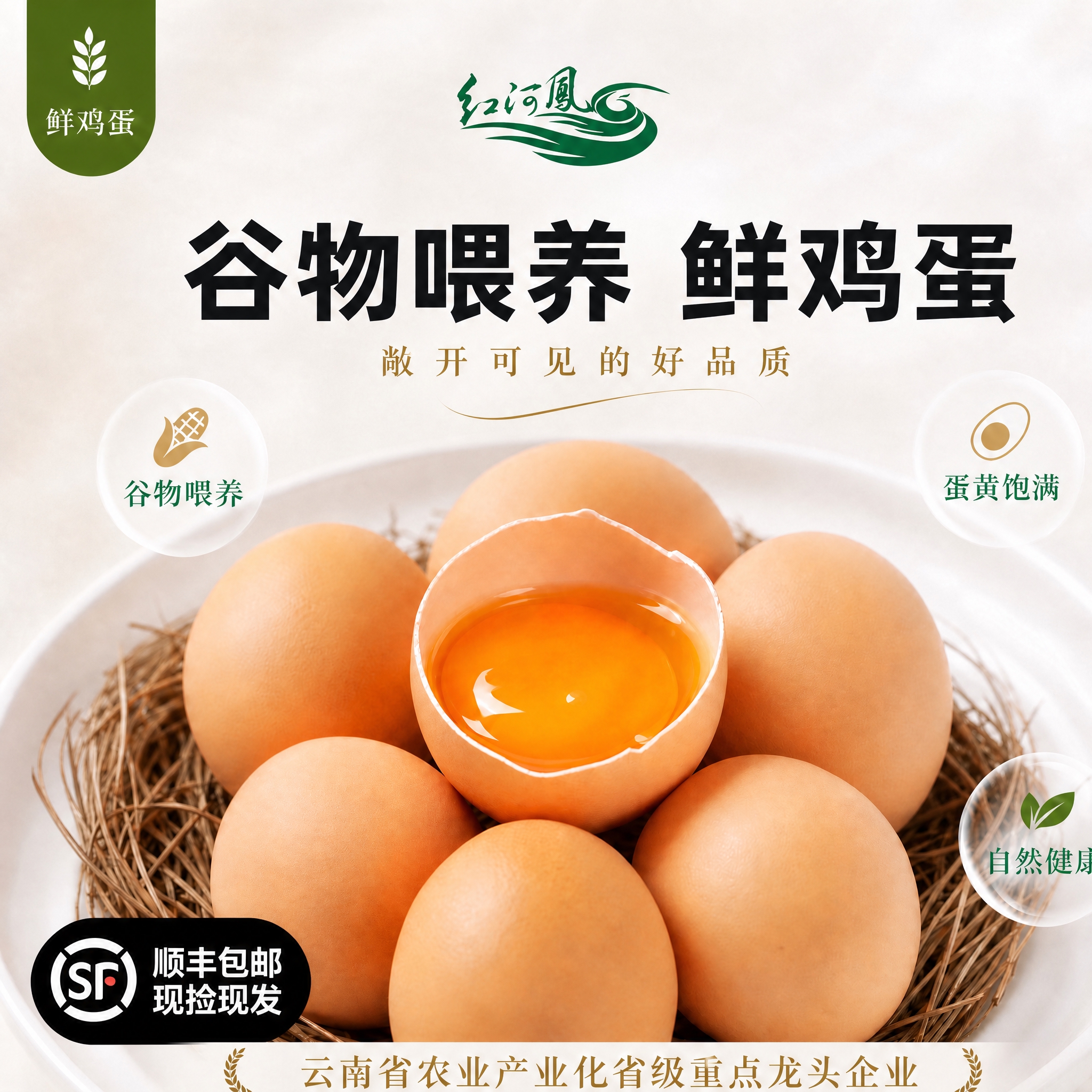 将画面中的「红河凤」logo替换为简化版logo：只保留中间白… - 图片创意预览