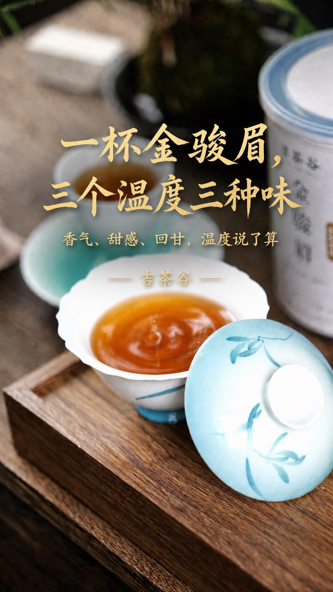 以这张金骏眉茶汤图片为基础，保持背景图片完全原样不变。修改文字… - 图片创意预览
