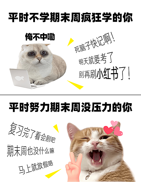 大学生期末周精神状态小红书配图对比图