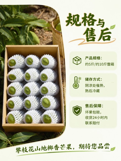 「图片1」「图片1」「图片1」「图片1」「图片1」「图片1」「图片1」「图片1」「图片1」「图片1」攀枝花山地•传奇椰香芒果预览效果