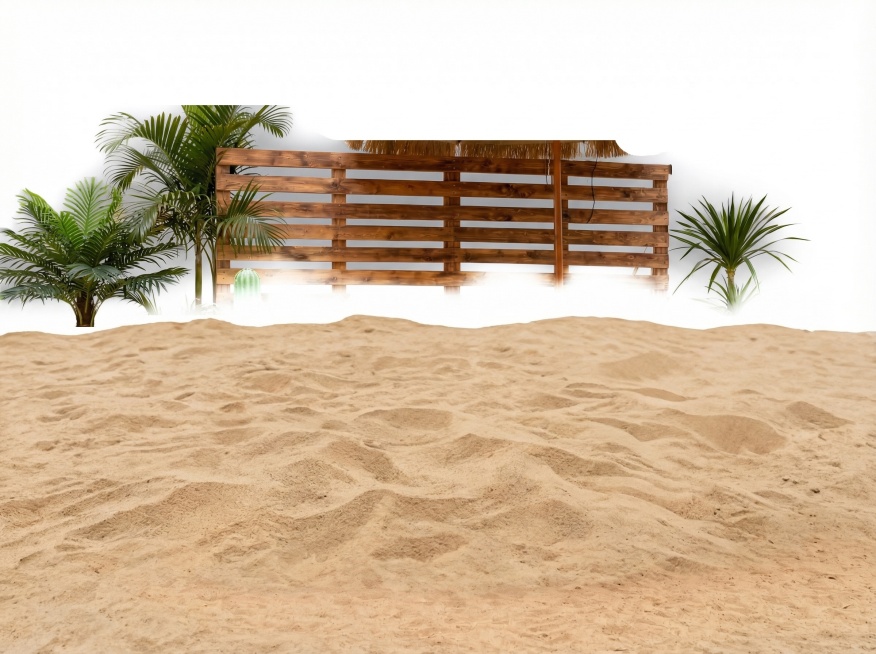 单独抠出图片中的整片沙滩地，保留沙子自然形态，去掉其他所有元素，背景为纯白色预览效果