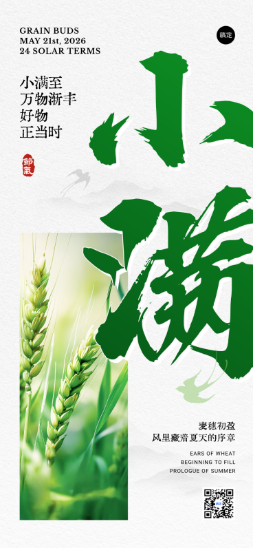 小满节气大字全屏竖版海报预览效果