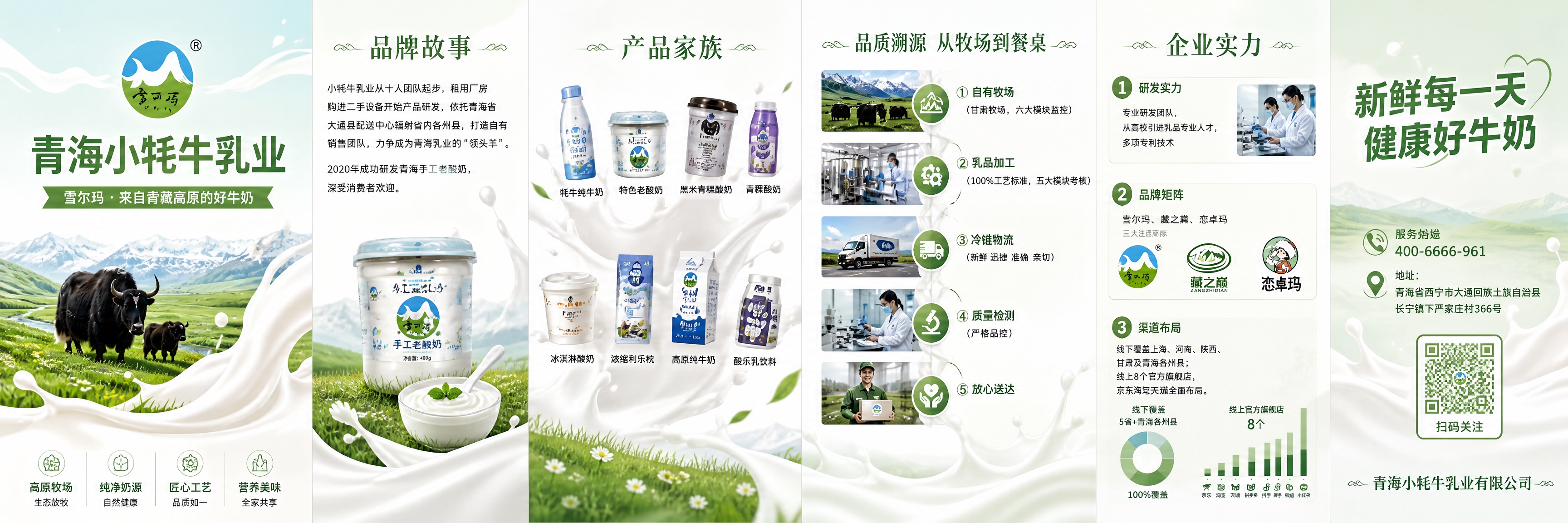 企业三折页展开图，横版六面布局，清新草原牛奶飞溅风格，青海小牦… - 图片创意预览
