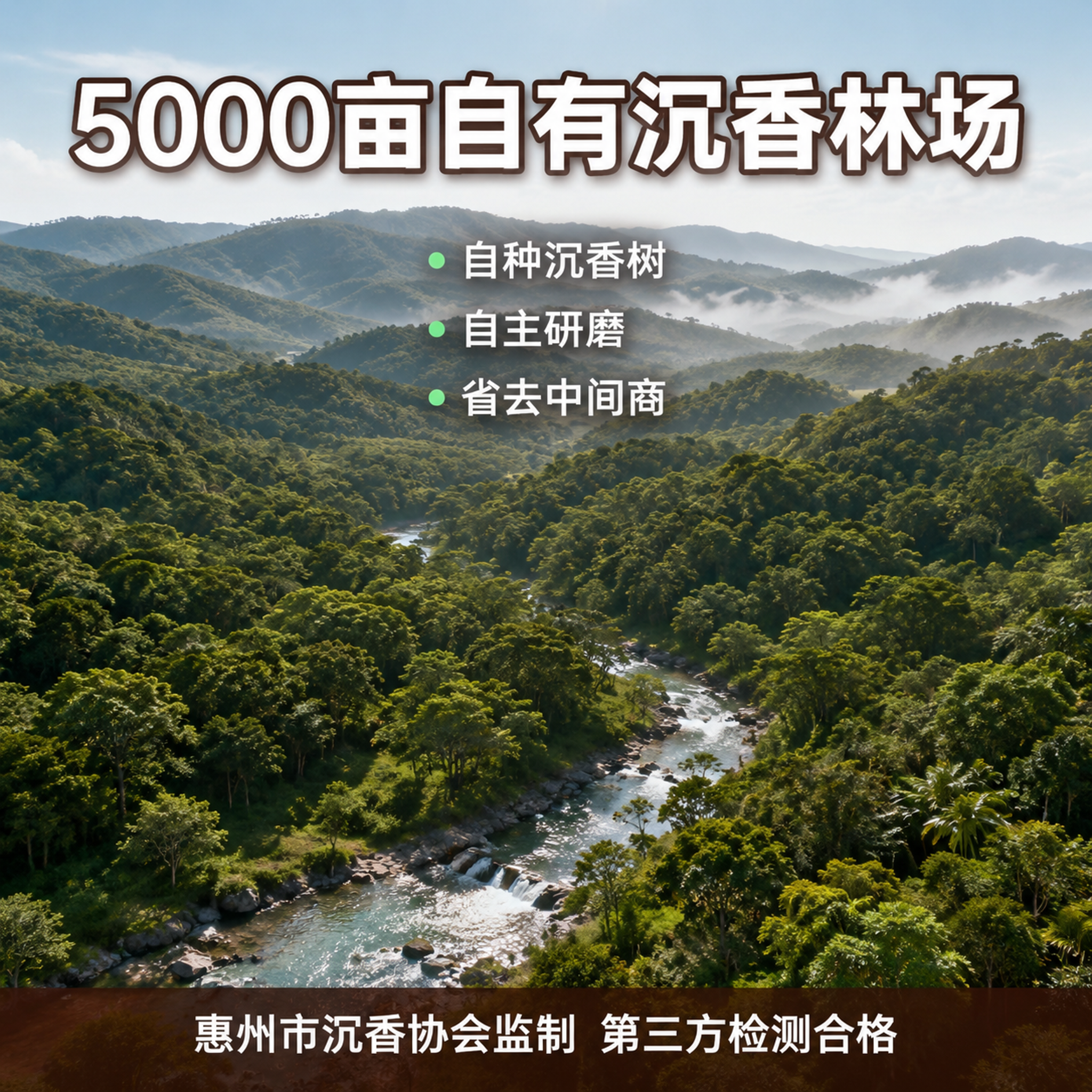 拼多多电商主图原料实力图，中式自然氛围感。画面为整片沉香山林全… - 图片创意预览