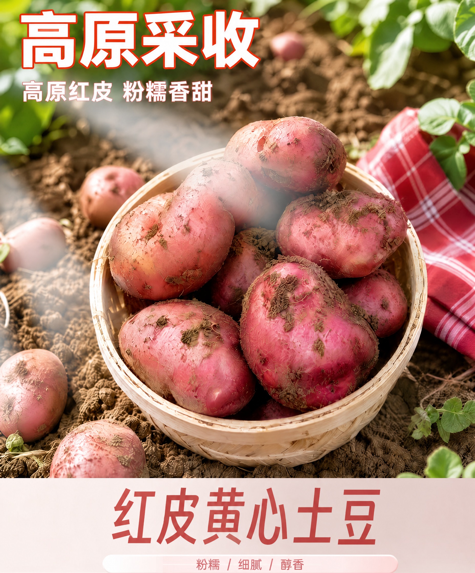 将图片上方的大字'新鲜现挖'替换为'高原采收'，保持字体、颜色… - 图片创意预览