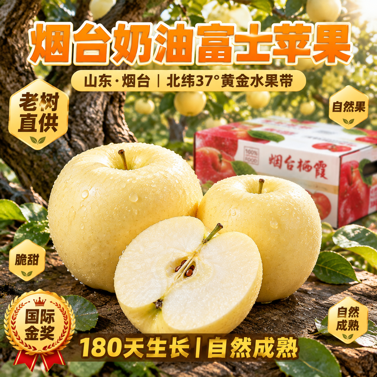 京东电商主图，800×800像素，1:1比例。背景为山东烟台栖… - 图片创意预览