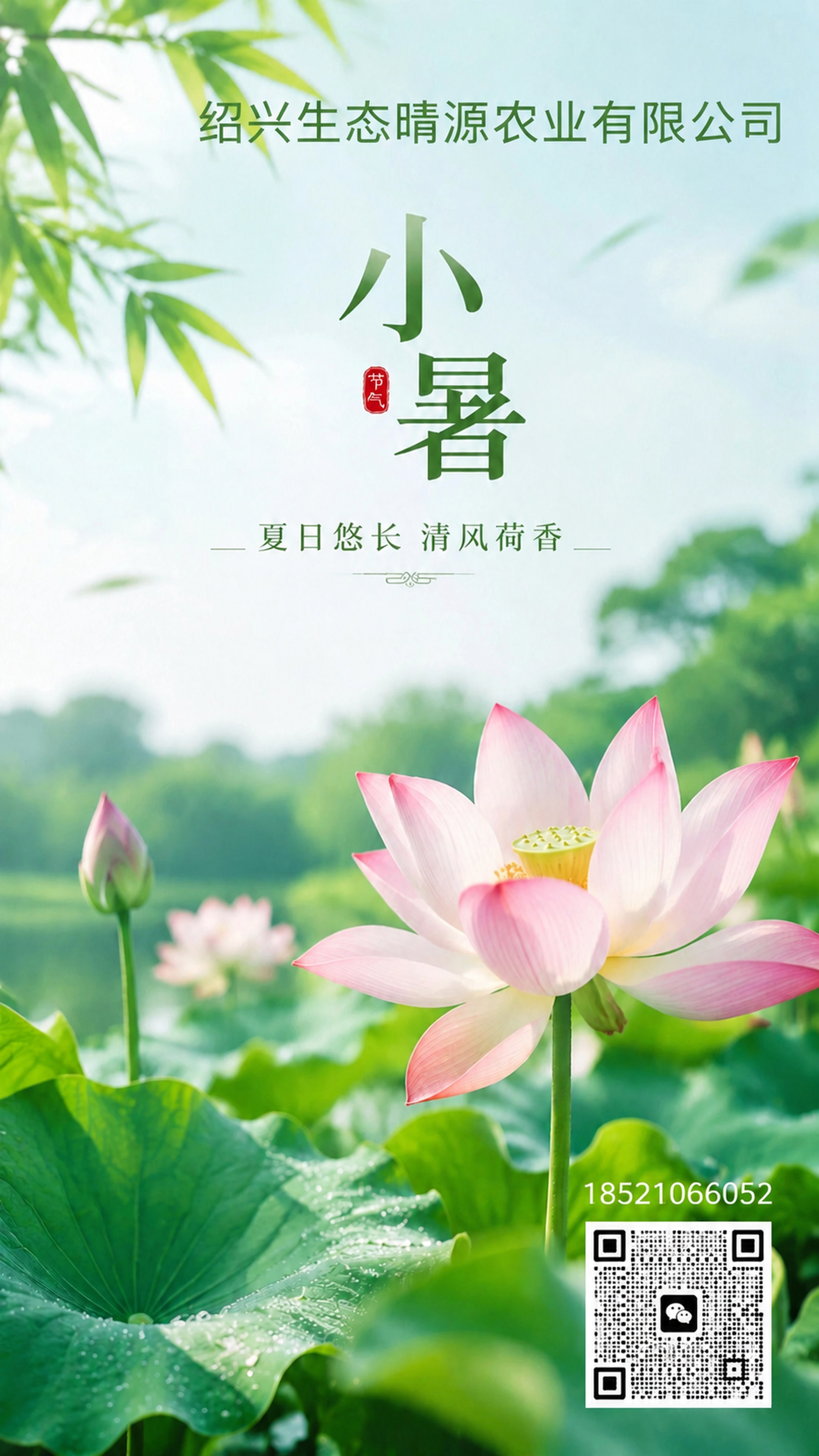 在原图基础上修改：保持原有清新夏日荷花小暑海报的内容和摄影风格… - 图片创意预览