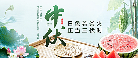 三伏天中伏创意清新荷塘场景清新感微信公众号首图