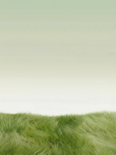 去掉产品和文字预览效果