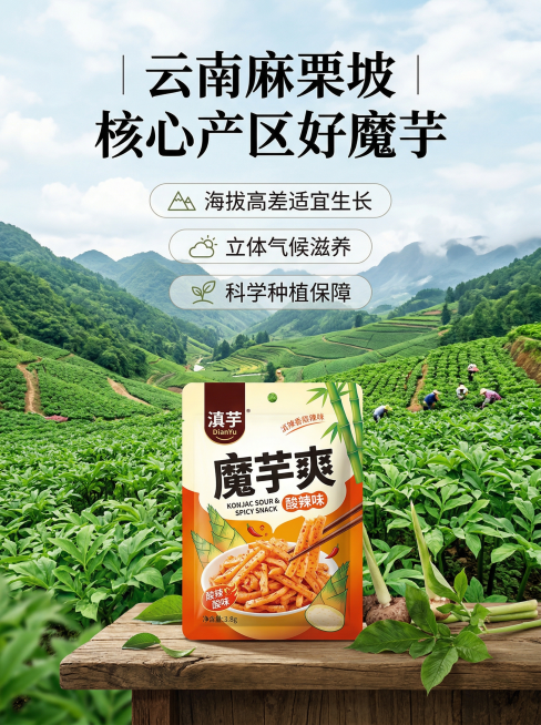滇芋魔芋爽电商详情图产地优势，背景展示云南麻栗坡高山魔芋种植基地实景，绿色漫山遍野魔芋植株，前景放一袋滇芋魔芋爽产品，顶部大标题 "云南麻栗坡 核心产区好魔芋"，下方三个卖点："海拔高差适宜生长 |预览效果