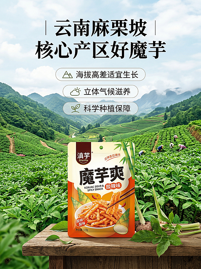 滇芋魔芋爽电商详情图产地优势，背景展示云南麻栗坡高山魔芋种植基地实景，绿色漫山遍野魔芋植株，前景放一袋滇芋魔芋爽产品，顶部大标题 "云南麻栗坡 核心产区好魔芋"，下方三个卖点："海拔高差适宜生长 | 立体气候滋养 | 科学种植保障"，整体清新自然，突出产地优势，风格统一，背景铺满全屏