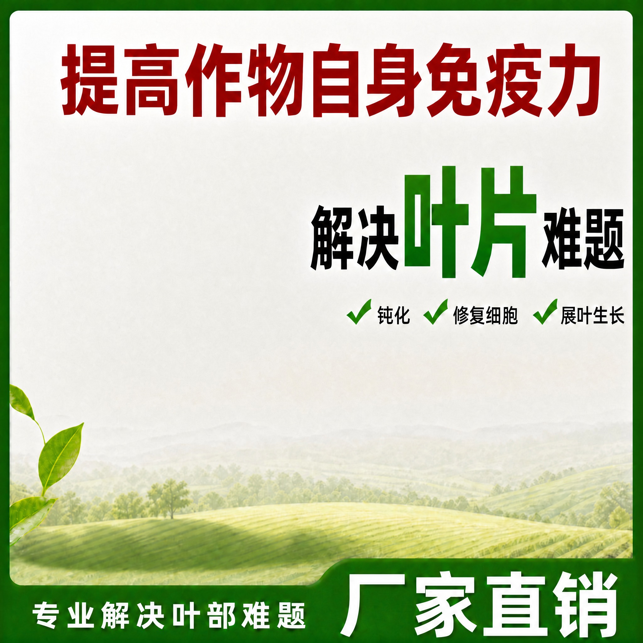 基于这张图片进行修改，保持整体布局、风格、背景、所有其他文字和… - 图片创意预览