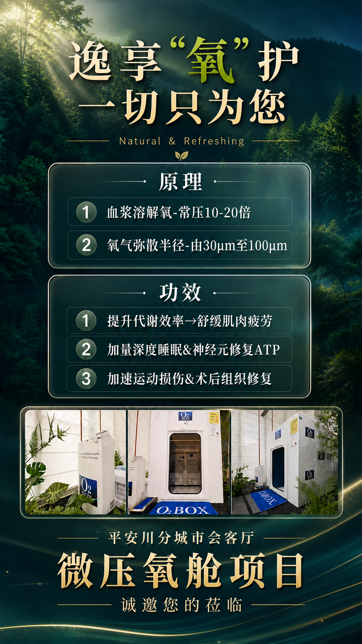 将这张海报调整为标准9:16竖版比例，保持现有的高端森林氧疗风… - 图片创意预览