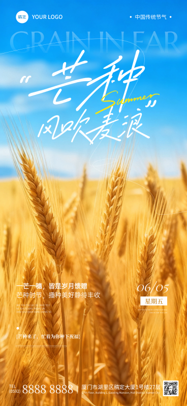 实景风麦田芒种二十四节气海报预览效果