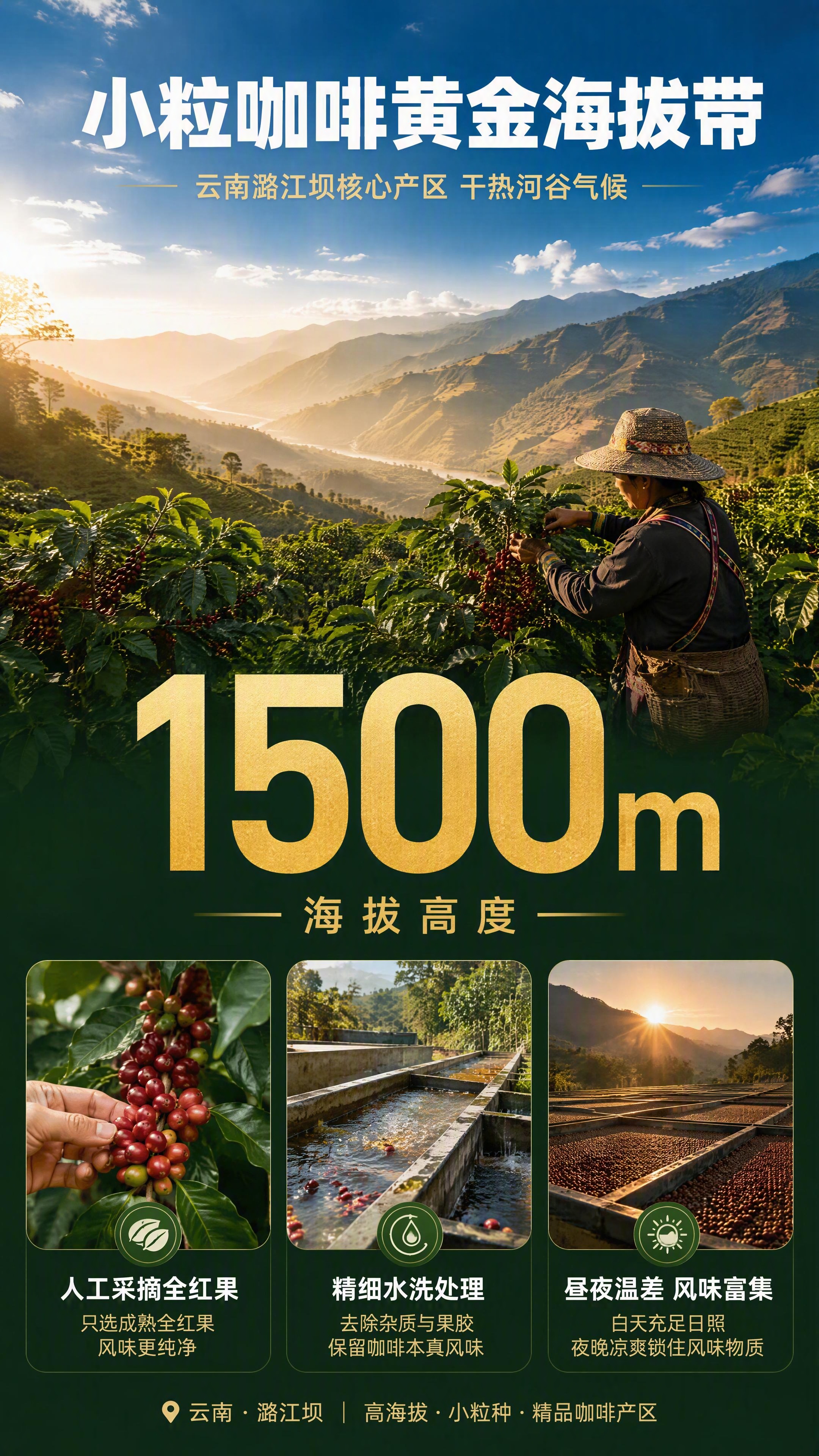[第2张] 详情页产地溯源专张 · 云南潞江坝1500米黄金海… - 图片创意预览