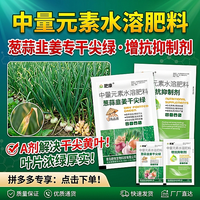 🌱 肥康 葱蒜韭姜干尖绿+增抗抑制剂 产品介绍
 
这是青岛肥佬生物科技有限公司推出的葱蒜韭姜专用中量元素水溶肥料套装，包含A剂「葱蒜韭姜干尖绿」和B剂「增抗抑制剂」，专为大葱、大蒜、韭菜、生姜、洋葱等鳞茎类作物设计，主打解决干尖黄叶、长势弱、产量低等种植痛点。
 
 
 
一、核心功效
 
✨ A剂「葱蒜韭姜干尖绿」
 
- 苗齐苗壮，预防干尖黄叶，让叶片浓绿厚实，缓解生理性焦边问题。
​
- 保嫩增重，延长采摘期，延缓植株早衰，保持茎叶鲜嫩状态，提升整体产量。
​
- 促进茎叶伸长、挺拔顺直，预防缺素导致的生长缓慢、畸形等问题。
 
🛡️ B剂「增抗抑制剂」
 
- 快速补充中微量元素，纠正缺素黄化、生长不良等问题。
​
- 增强作物抗寒、抗旱、抗病虫害的能力，降低逆境对植株的伤害。
​
- 改善鳞茎（蒜头、姜块、葱杆）的饱满度、色泽和口感，提升商品率和最终产量。
 
 
 
二、通用使用方法（套装A+B）
 
1. 基础用法用量
 
每一组（A剂1袋+B剂1袋）兑水30斤（15公斤），搅拌均匀后叶面喷雾；也可兑水300倍进行灌根或冲施，两种方式都能达到不错的效果。
 
2. 适用时期与喷施建议
 
- 苗期/返青期：喷施1次，促根壮苗，预防早期干尖、黄化问题。
​
- 生长期/旺长期：每7-10天喷1次，连续2-3次，促进茎叶生长，预防干尖、拉直拉长。
​
- 鳞茎膨大期：喷施1-2次，保叶防早衰，促进鳞茎膨大，增重提质。
​
- 采收前：采收前10-15天喷施1次，延长叶片功能期，减少早衰黄叶。
 
3. 关键使用技巧
 
- 喷施时以叶片正反面均匀湿润、不滴水为宜，重点喷施中下部叶片和茎杆部位。
​
- 选择晴天上午10点前或下午4点后喷施，避开正午高温时段，减少药液蒸发。
​
- 可与非碱性农药、肥料混用，混用前建议先做小范围兼容性试验，避免影响效果。
​
- 两次喷施建议间隔7-10天，连续使用效果更稳定。
 
 
 
三、注意事项
 
1. 密封存放在阴凉干燥处，远离儿童和食品；如不慎接触皮肤或眼睛，立即用清水冲洗。
​
2. 避免在雨天、大风天或正午高温时喷施，喷后4小时内遇雨需要补喷。
​
3. 该产品专为葱、蒜、韭菜、生姜、洋葱等鳞茎类作物设计，不建议在非目标作物上盲目使用。
​
4. 配合合理的水肥管理和病虫害防治，能让产品效果发挥得更充分。
 
 
 
💡 小提示：这套产品的核心优势是双剂协同增效，A剂主攻干尖、黄化、拉直，B剂负责补充营养、提升抗性，搭配使用能同时解决葱蒜韭姜种植中最常见的干尖黄叶、长势弱、产量低、早衰快等问题。「图片1」以此图片为基础生成10张电商主图。适配拼多多平台，主图比例为1:1