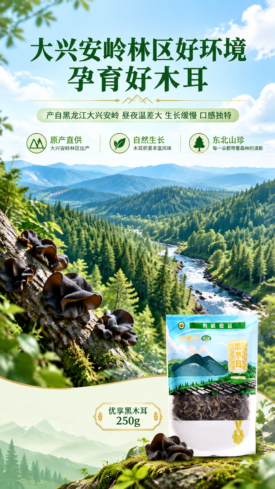 [商品] 使用【图1】优享黑木耳250g袋装正面图作为右下角小… - 图片创意预览