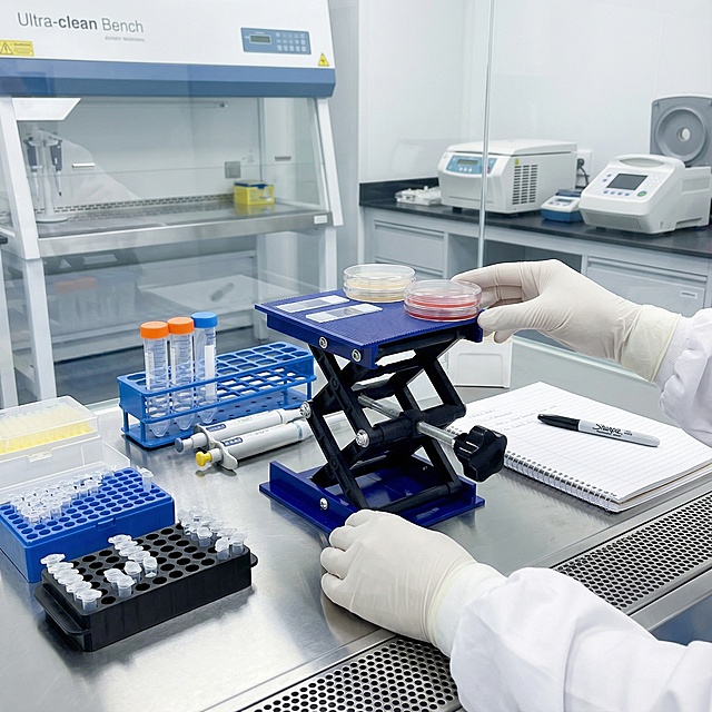 科学研究风格 升降台在生物安全柜内，台面放置着显微镜载玻片和培养皿，旁边有移液器、试管架、离心管。左侧有PCR管和微量离心管，右侧有实验记录本和Marker笔。背景是洁净的实验室环境，可见超净工作台、离心机、PCR仪等设备。整个环境严格无菌，穿着白色实验服和乳胶手套，营造专业的科研氛围。
比例1:1