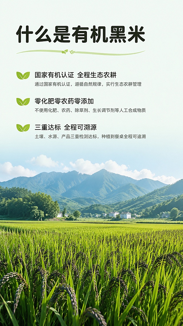 结合端午助农、乡村振兴热点，制作洋县有机黑米品牌科普商业长图海报，要求具备新媒体传播属性、美观性、商业推广性。
1．制作平台（任选其一）
秀米、稿定设计、图怪兽（在线网页版制作）

2．考试任务
使用本次给定的完整黑米科普文案，自主全网搜集高清素材，完成全篇专业图文混排，最终生成一张完整、连贯、具备朋友圈／公众号传播价值的高清长图海报。
3．统一使用官方科普文案（学生可修改）
(1）什么是有机黑米

有机黑米是国家有机认证、全程生态农耕的高端谷物。全程零化肥、零农药、零催熟添加，遵循自然生长周期，土壤、水源、空气三重达标，全程可溯源，是兼具安全性与高营养的原生态健康食材。
(2）有机黑米核心优势（数据化）

高抗氧化活性：富含高活性花青素，抗氧化能力是维生素 E 的 50倍、维生素C的20倍，人体吸收率高。高密营养配比：含 18 种氨基酸、多种矿物质与膳食纤维，营养密度远超普通杂粮。
极致食用安全：有机标准严苛管控，零农残、无重金属超标，全人群可安心食用。
口感品质优越：米粒紧实饱满，蒸煮米油丰厚、软糯香浓，原生谷香浓郁。

(3）有机黑米 VS 普通黑米
种植标准不同：有机黑米实行三年土壤净化、无化学农资；普通黑米为常规种植，允许合规农资使用。
营养含量不同：有机黑米花青素、硒元素、氨基酸含量，高出普通黑米 3 倍以上。
安全等级不同：有机黑米零残留、全程可溯源；普通黑米存在微量农残、品质不稳定问题。
口感品相不同：有机黑米色泽通透、米香醇厚；普通黑米色泽暗沉、口感干涩清淡。

(4）有机黑米甄别方法
查认证溯源：带正规有机标识、一物一码溯源编码，官方可查。
观外观色泽：米粒乌黑透亮、颗粒均匀、内里洁白，无人工染色暗沉感。
测浸泡状态： 清水浸泡析出通透淡紫色花青素，水质清澈不浑浊。
品蒸煮口感：煮熟软糯粘稠、米香纯粹，无酸味、无杂味。
(5）洋县有机黑米专属核心优势（数据化地域亮点）洋县拥有 2600 余年黑米种植历史，是国家地理标志原产地、朱鹮核心生态保护区。
生态稀缺：依托秦岭富硒沃土、汉江活水灌溉，全域长期严控化肥农药，形成国内稀缺的朱鹮共生型零污染农耕产区。
营养突出：产区土壤硒含量为全国均值5倍，黑米花青素含量高达 564ug/g，营养活性领先同类产品。
品质权威：自古为宫廷贡米，种植规模大、有机认证标准高，是陕南地标性绿色有机农产品。

4．配图硬性要求
全文5大板块，每个板块必须独立搭配 1 张高清匹配图片
有机黑米整体生态种植图
黑米营养食材细节实拍图
有机黑米与普通黑米对比图
黑米真假鉴别细节图
洋县秦岭、朱鹮生态产区风光图
可适当添加氛围动图、装饰元素，提升画面质感。
要求：无水印、无模糊、不变形、高清商用质感

5．图文排版＋新媒体传播核心评分标准（考试重点）风格统一：全篇色调、版式、字体统一，生态绿色高级风，无杂乱混搭。
排版专业：标题层级分明、字体字号统一、行间距舒适、段落分布均匀，符合新媒体阅读规范。
图文高度匹配：图片贴合段落内容，不跑题、不乱配，图文逻辑一致。
视觉美感达标：画面干净整洁、疏密得当、重点突出，无拥挤、无空白失衡。