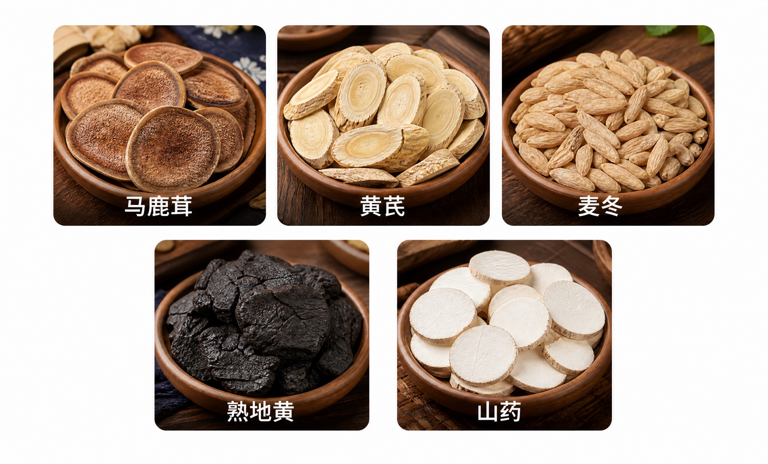 参考原图的布局和风格，生成一张包含5种中药材的展示图，采用两行… - 图片创意预览