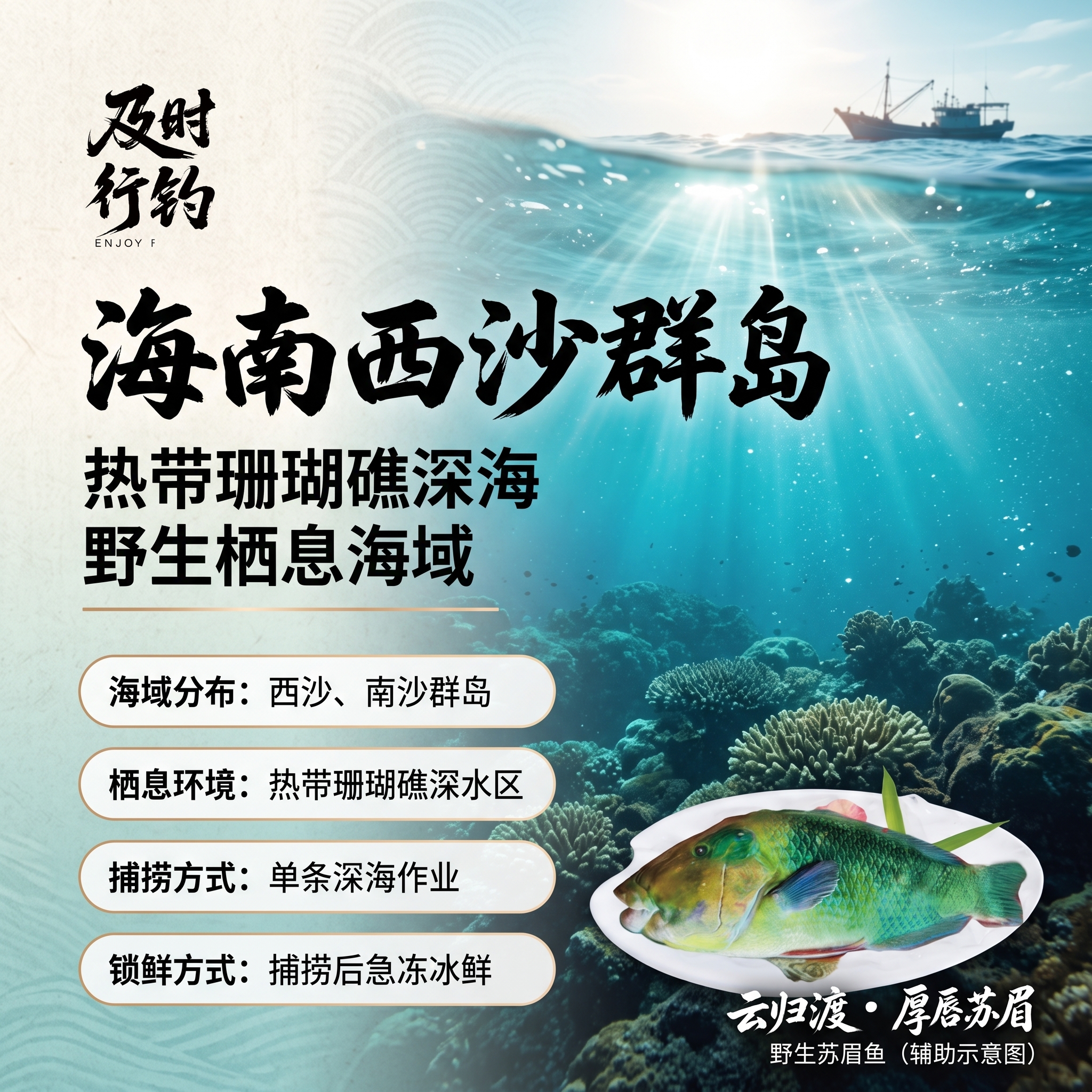[商品] 使用【图1】云归渡·厚唇苏眉：保留鱼体形态比例、头部… - 图片创意预览