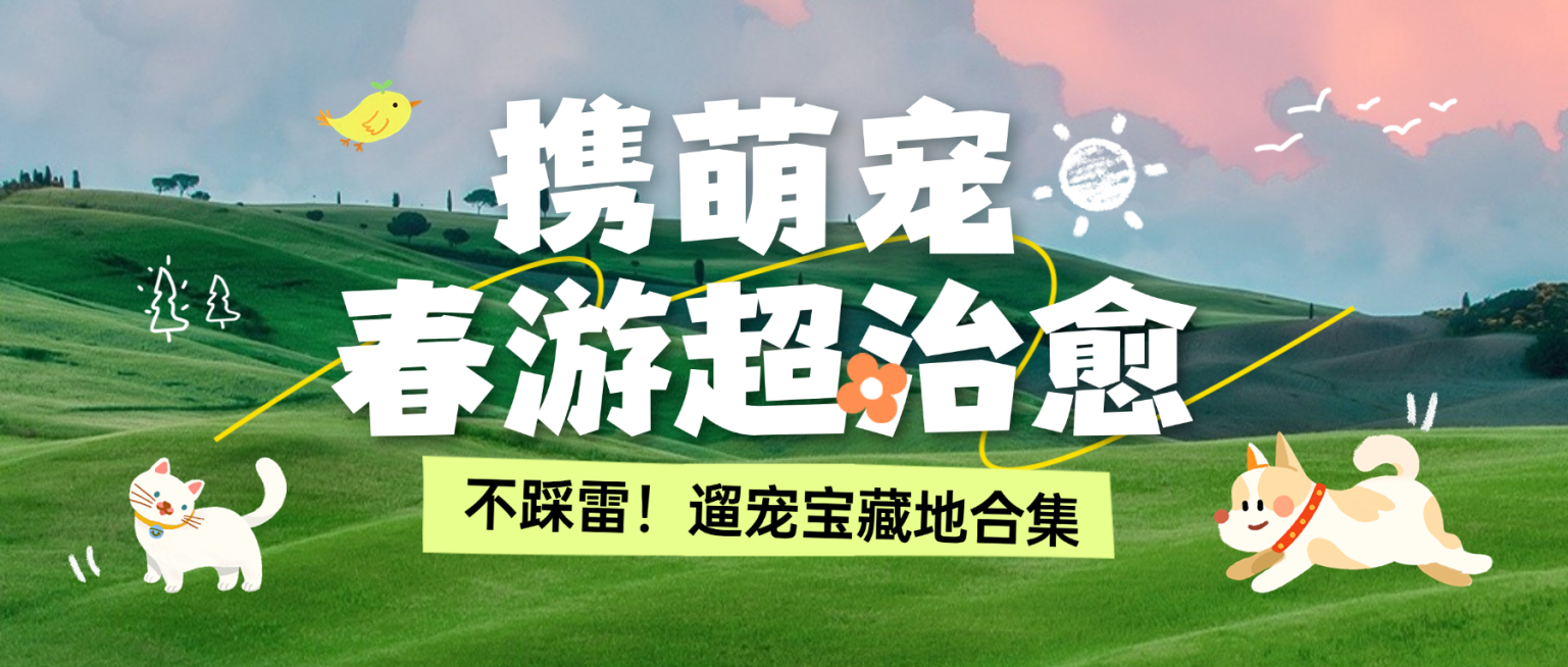 春日宠物旅游促销活动公众号首图预览效果