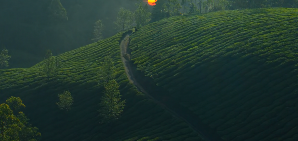 变为傍晚，夕阳照下来预览效果