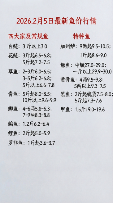 预览效果