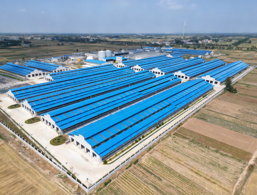 将图片整体的地面进行清理，去除地面的污渍、建筑垃圾，对地面进行整体美化，保持原有厂区建筑、蓝色屋顶、周边农田和其他景物不变预览效果
