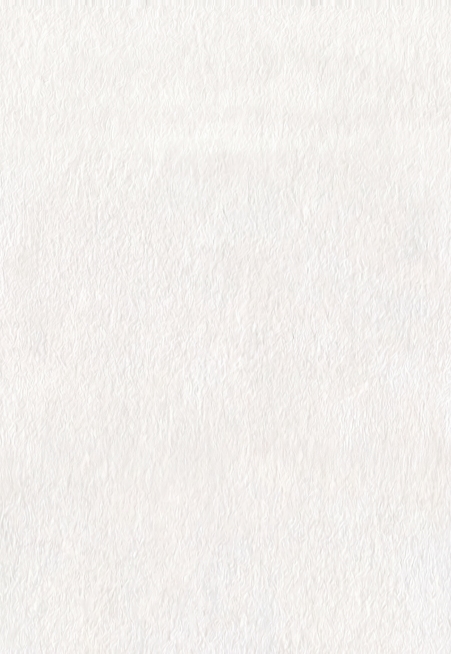 提取原图的白色水彩纸张背景质感，生成一张纯白色带水彩纹理的纯背景，保持和原图一致的水彩纸张质感，只有背景没有任何人物和图案预览效果