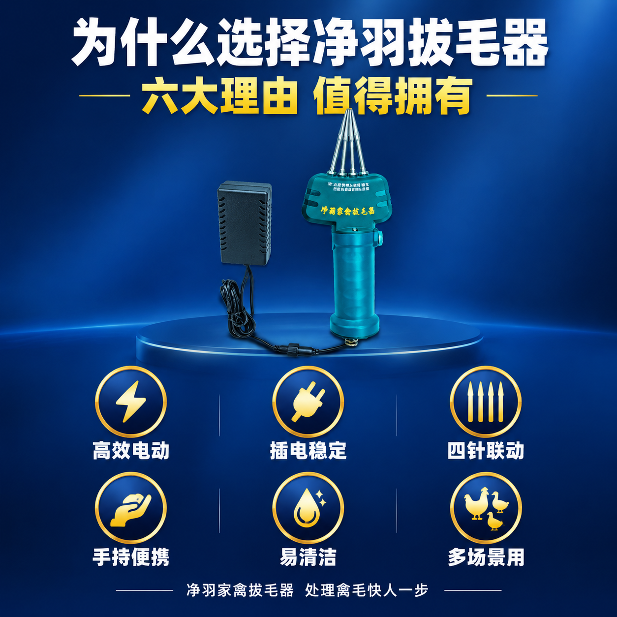 [主图-6] 产品总结与购买理由，主题：净羽家禽拔毛器 六大理… - 图片创意预览