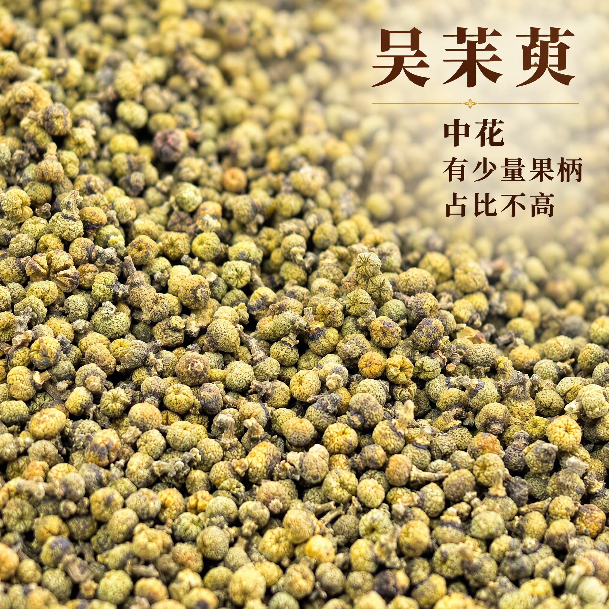 基于上传的吴茱萸素材进行主图创作，严格使用上传素材，完整保留原… - 图片创意预览