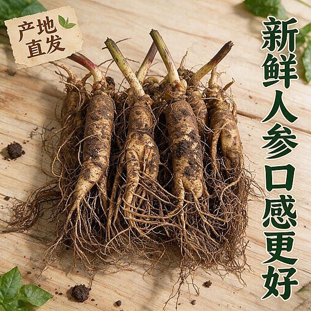 抖音电商主图，新鲜人参特写，1:1正方形构图，多根带土鲜人参整齐摆放，参体粗壮纹理清晰，根须茂密，背景为浅木色原生态木板，搭配绿叶和泥土点缀，画面右侧竖排大字"新鲜人参口感更好"，左上角标签"产地直发"，自然暖光，真实质感，电商产品展示风格