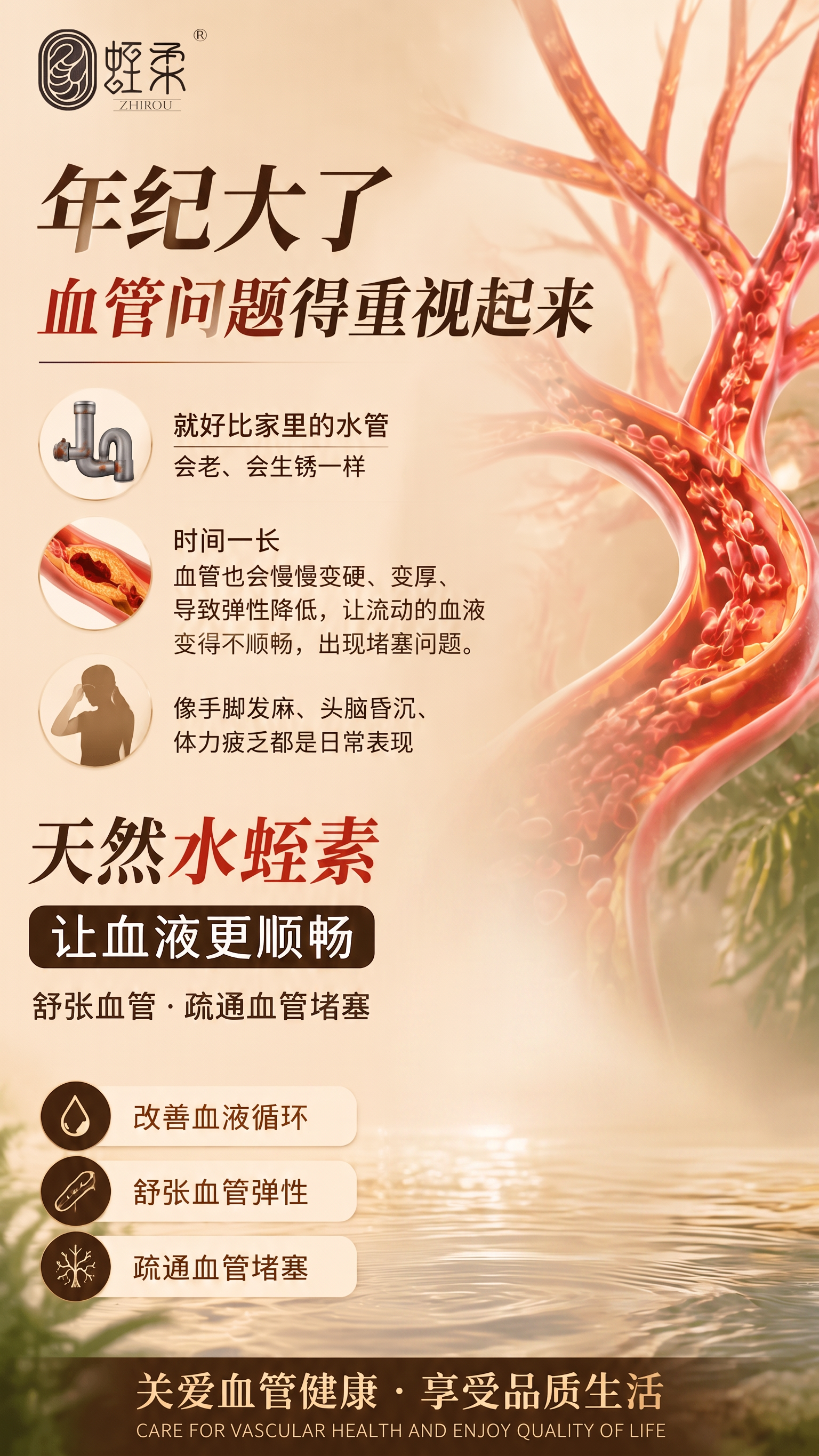 产品去掉 - 图片创意预览
