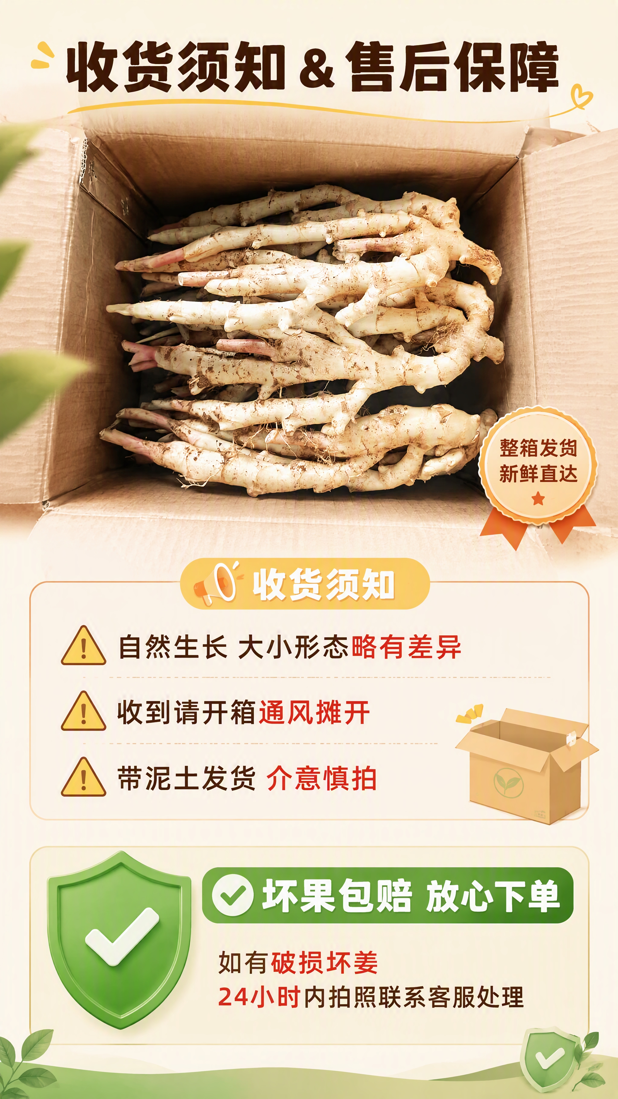 [第6张] 收货须知与售后保障页。本张使用【图2】作为整箱发货… - 图片创意预览