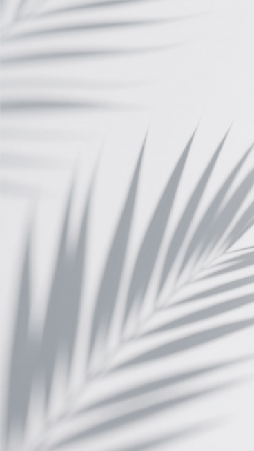 极简主义风格的抽象光影背景，以纯白色为基调，柔和的灰色植物叶片阴影以倾斜角度自然分布，形成疏密有致的线性纹理，光影过渡平滑自然，整体营造出宁静、简约、通透的氛围，具有现代设计感的留白美学，画面干净无杂物。预览效果