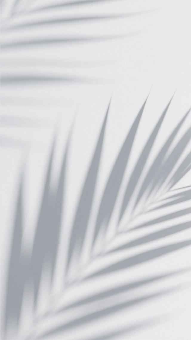 极简主义风格的抽象光影背景，以纯白色为基调，柔和的灰色植物叶片阴影以倾斜角度自然分布，形成疏密有致的线性纹理，光影过渡平滑自然，整体营造出宁静、简约、通透的氛围，具有现代设计感的留白美学，画面干净无杂物。